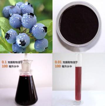 Bilberry Extract Powder